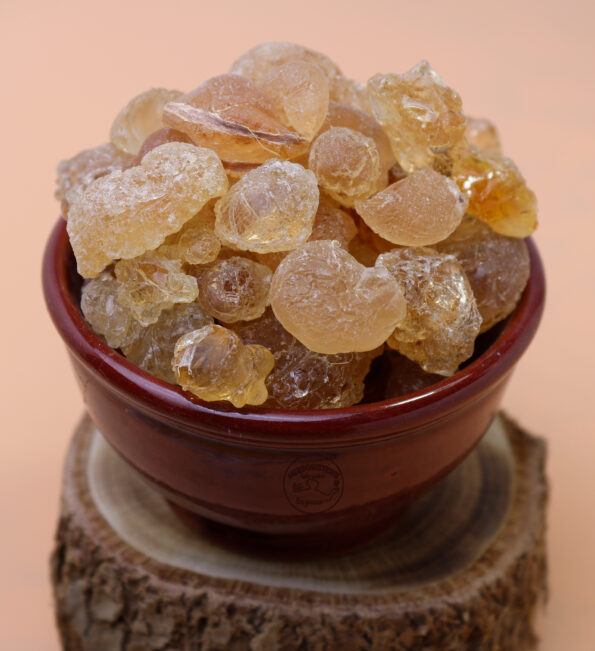 الصمغ العربي2